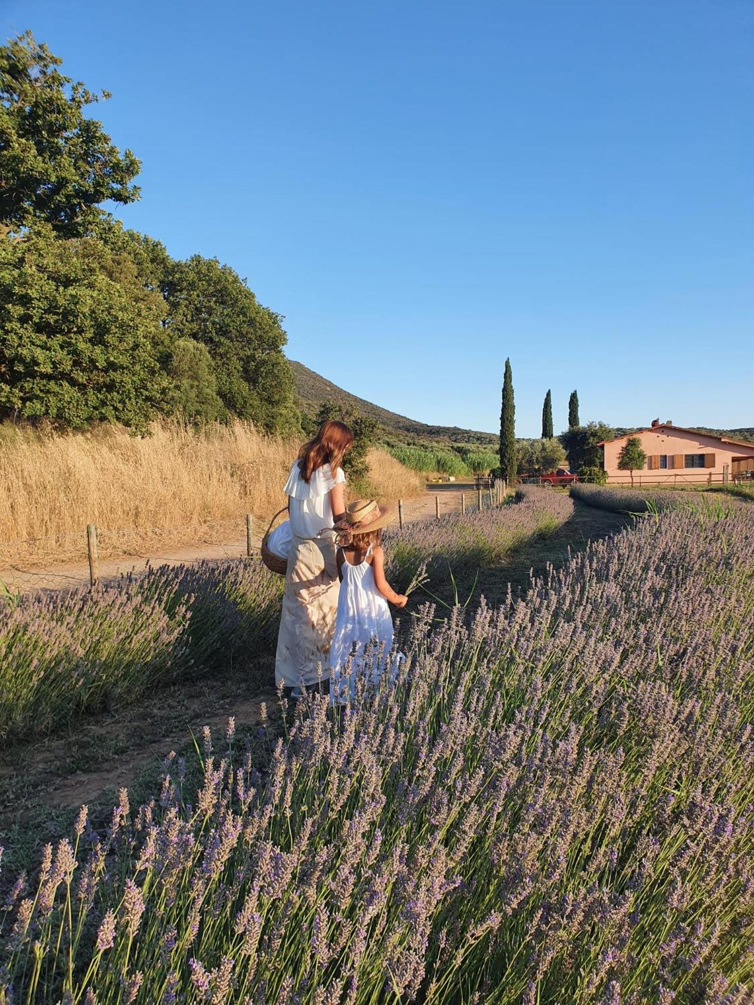 Farm stay Bio Le Giunchiglie *
